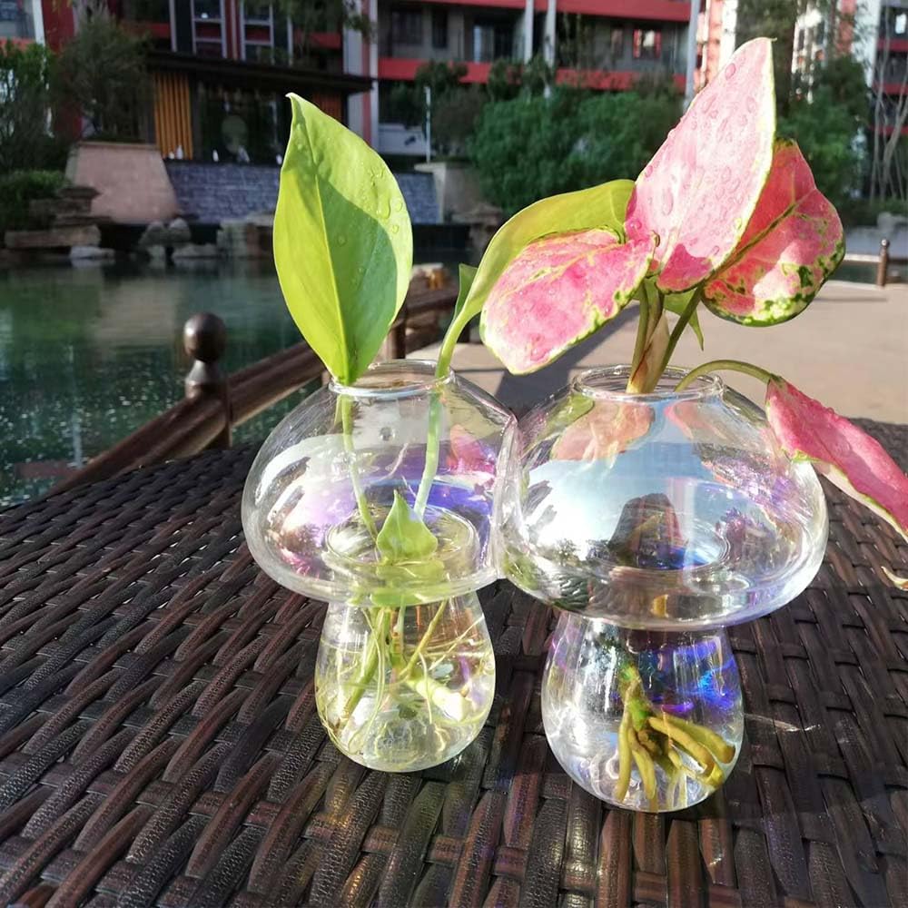 Wall Hanging Mushroom Vase, Small Plant Propagation Station Mushroom Glass Planter Terrarium Indoor Hydroponic Flower Holder for Elegant Home Decor Thanksgiving Gifts, Colorful, 2 PCS