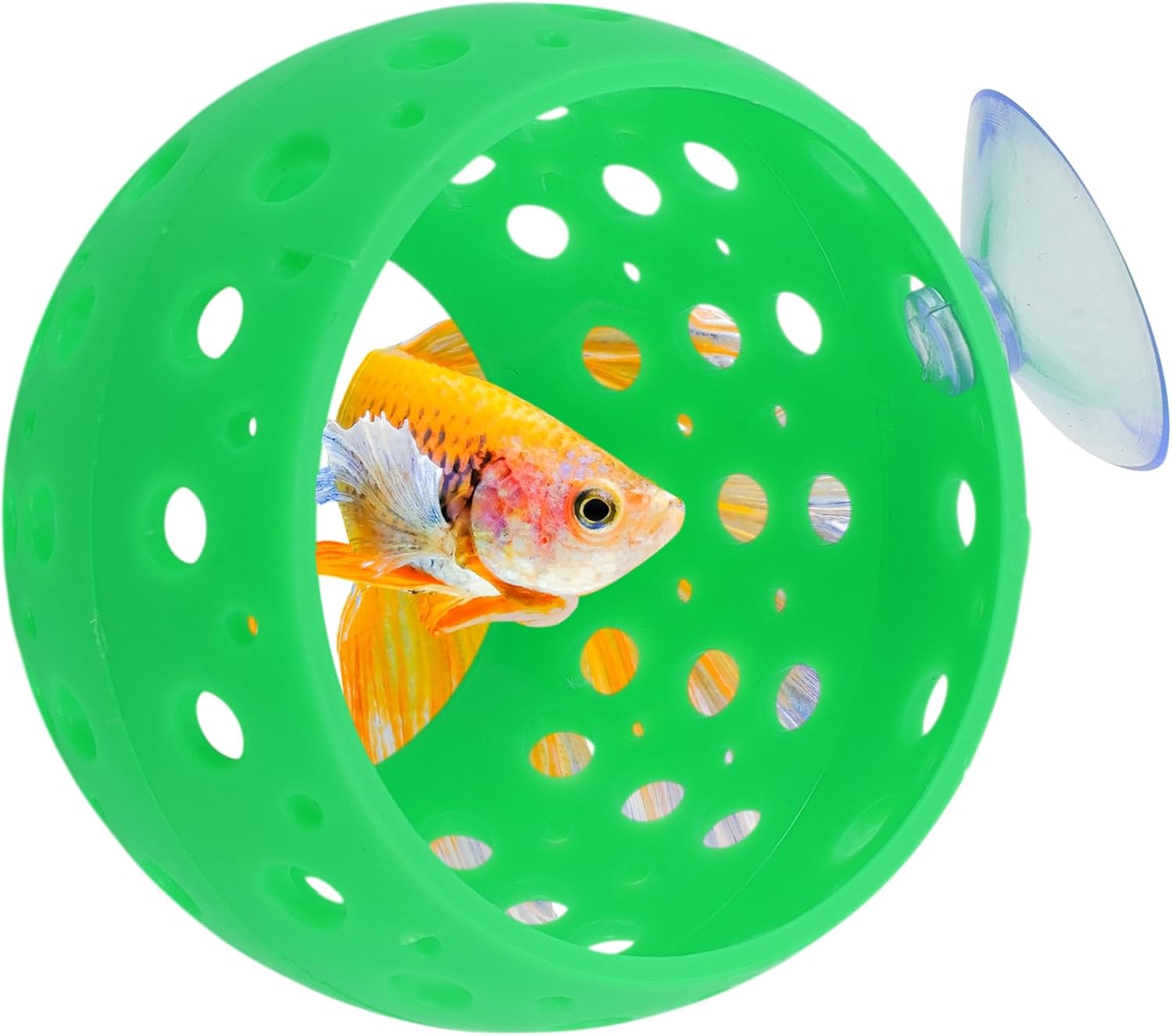 Betta Hideout Tunnel, Interactive Aquarium Decor, Aquarium Tunnel for Betta, Exciting Hiding Spot, Green
