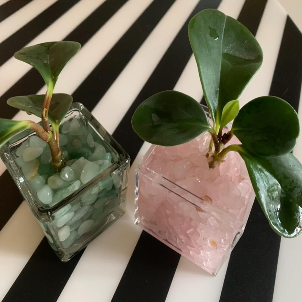1lb Rose Quartz Crystals, Vase Filler Stones, Pink Crushed Rose Quartz Chips, Decorative Marbles for Vases, Pebbles for Indoor Plants, Gravel for Fish Tank Aquarium