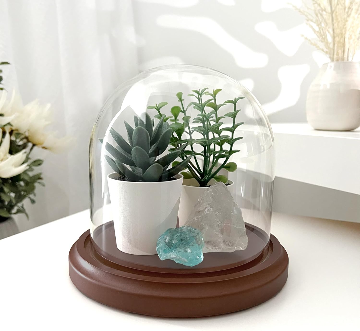 Plymor 5.5 inch x 5.5 inch Glass Display Dome Cloche (Dark Wood Base)