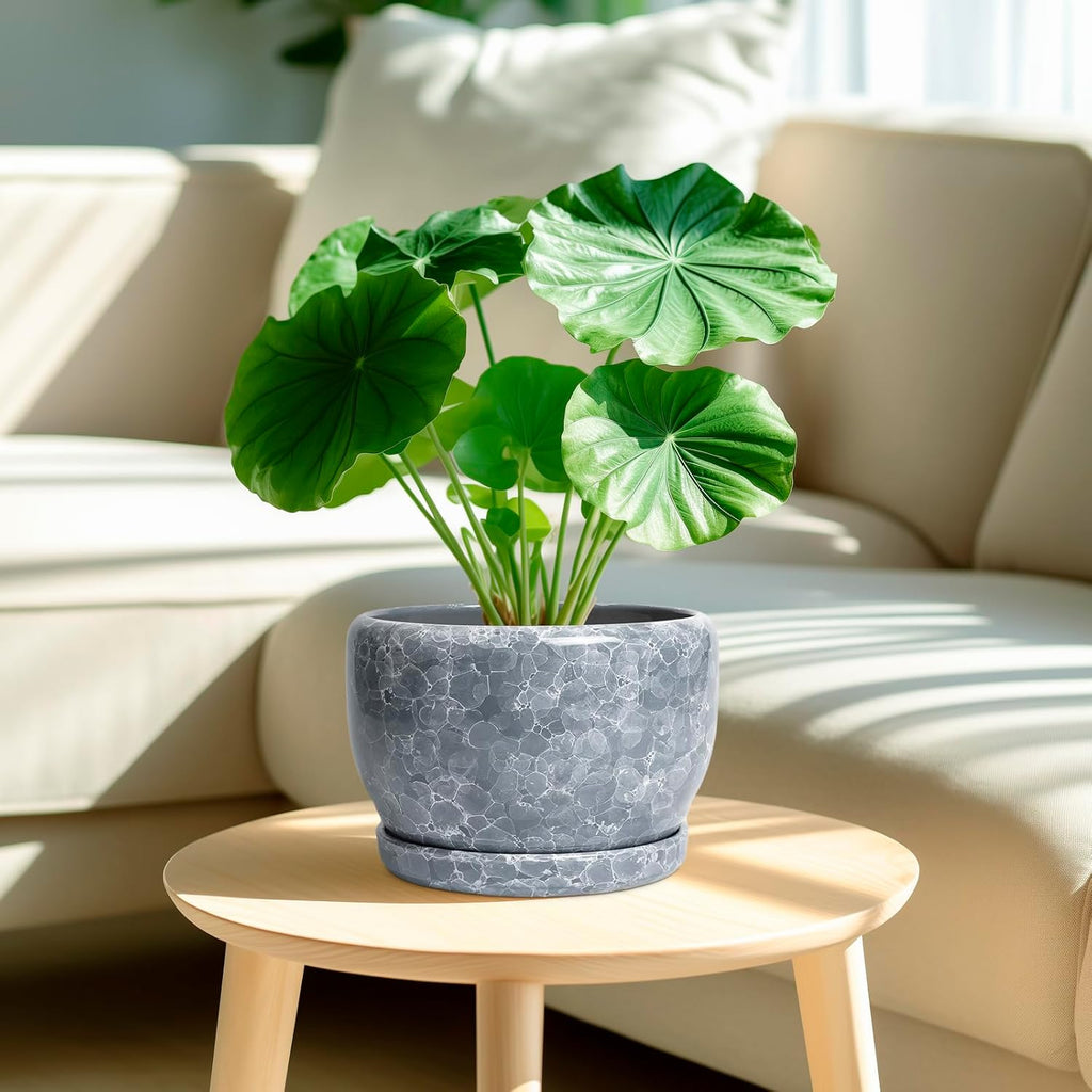 SQOWL 8 inch Plant pots Indoor - Ceramic Planter with Drainage Hole and Plant Saucer, Decorative Ceramic Flower Pot Outdoor, Modern Round Planter, Patio Porch Garden Decor, Garden Gifts, Gray