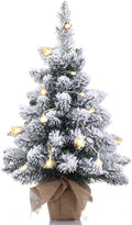 Pre-Lit Artificial Mini Christmas Tree,20 Inch Snow Flocked Small Pine Xmas Tree with 40 LED Lights,70 Branch Tips,Battery Operated Tabletop Christmas Tree Burlap Base-(50cm)