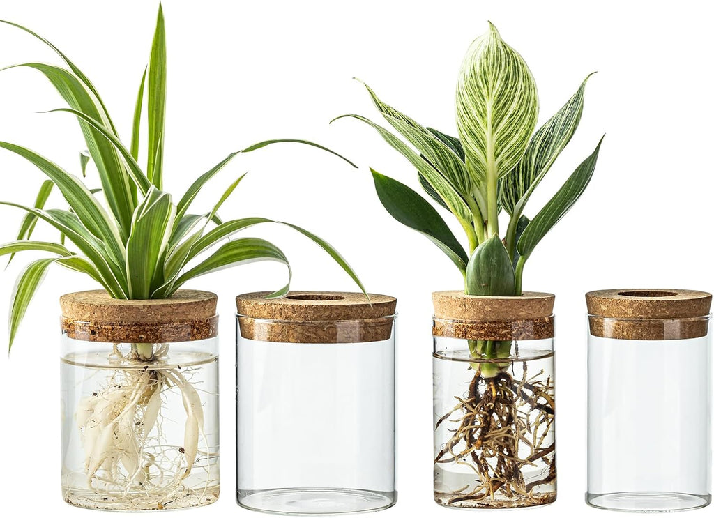 Glass Propagation Stations for Plants -Desktop Flower Vases,Propagation Flower Vases Set – 2 Large & 2 Small for Plant Cuttings，for Living Room, Bedroom Decoration,Home,Office Decor (4)