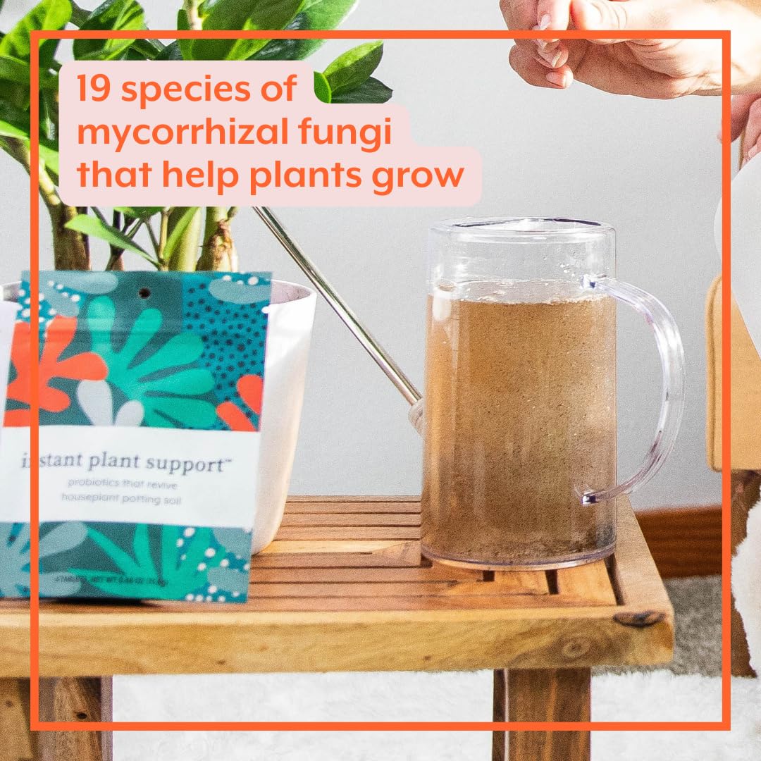 Instant Plant Support | Soil ProBiotics & Mycorrhizae for Houseplants and Indoor Gardens | No Odor - No Dust - No Mess | Package of 4 Tablets