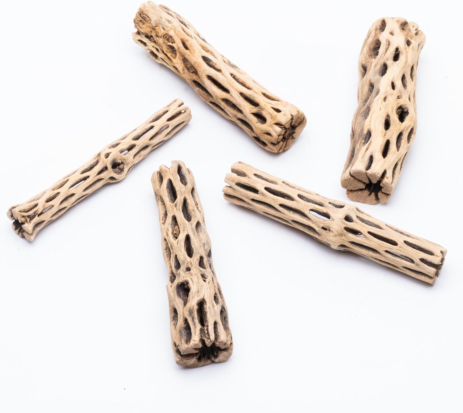 SubstrateSource Natural Cholla Wood - Driftwood for Aquariums, Air Plant Base, Hermit Crab and Freshwater Shrimp Hideout, Fish Tank Decoration, Chinchilla Chews, Reptile Habitat Wood - 6 Inch, 5pc
