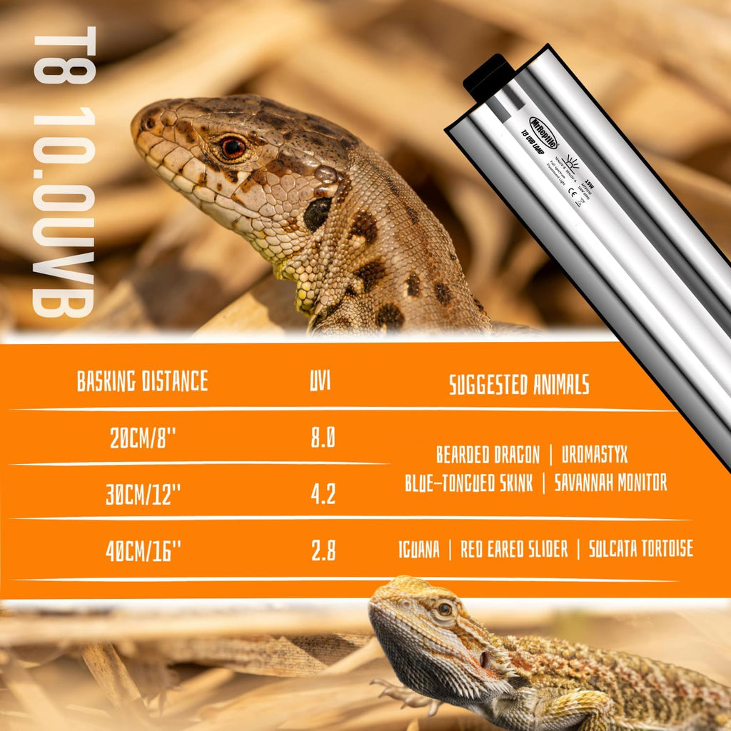 T8 UVB Reptile Light Kit, 15W UVB Light Fixture and 10.0 UVB Lamp Bulb Kit, for Desert-Dwelling Reptiles, Bearded Dragon UVB Light 18 inches
