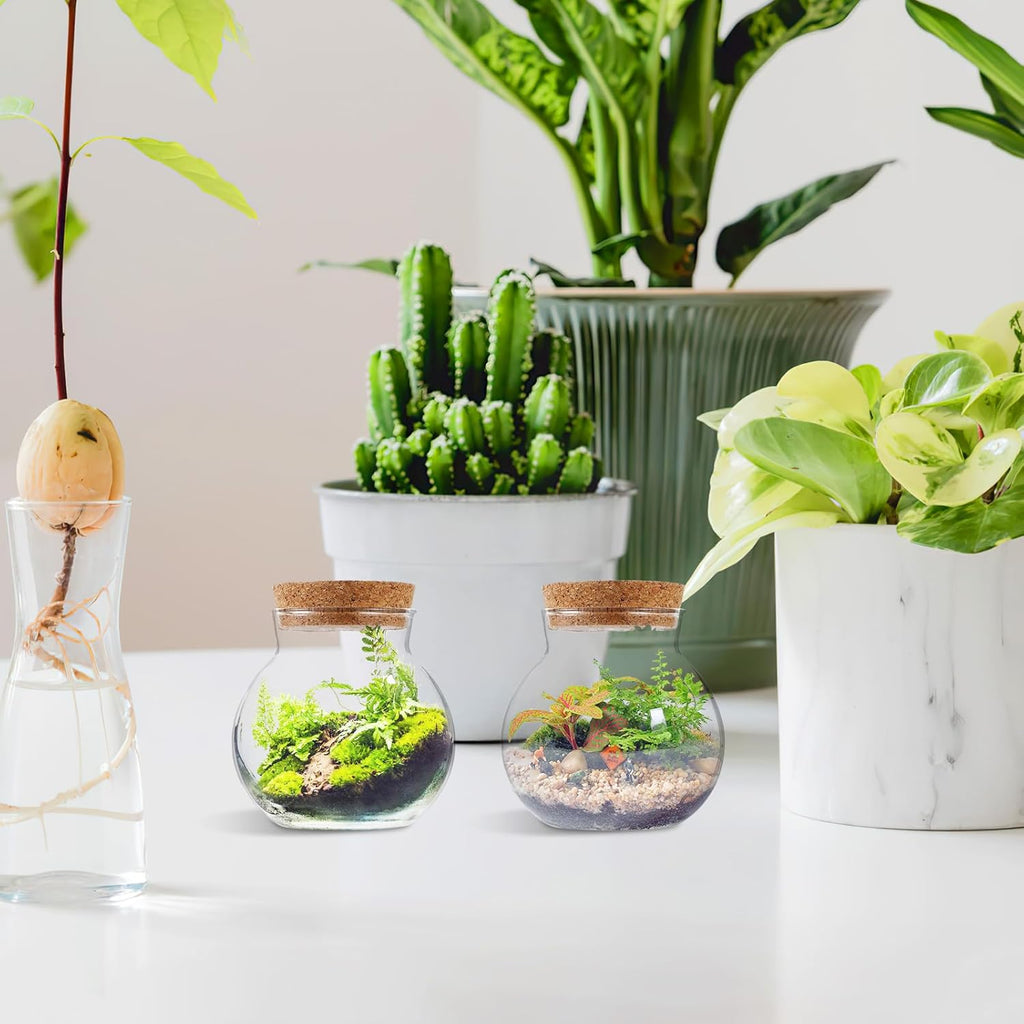 BESPORTBLE Glass Terrarium with Lid: Small Terrarium Jar with Lif, Small Terrarium Containers, Round Glass Jars with Cork