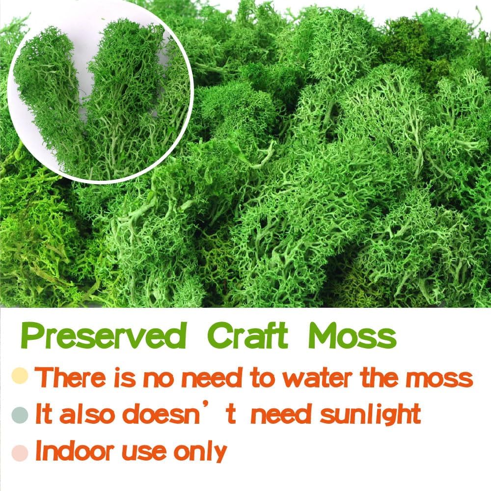 Preserved Moss-1.1lb 4 Color Mix Pack Reindeer Craft Moss, Green Moss Artificial Moss Suitable for Flowerbeds, Crafts, Home Office Artistic Decoration(Green Tones-3)