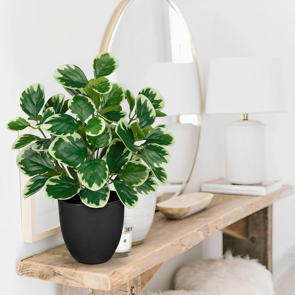 Sets of 2 Artificial Plants Indoor Home Decor, 14.5" Fake Potted Silk Plants for Shelves Living Room Decor, Small Artificial Office Desk Plant in Pots, Faux Peperomia Hope Tropical House Plant