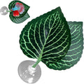 Betta Bed Leaf Hammock - Realistic Aquarium Leaf Pad, Lightweight Breeding and Spawning Resting | Fish-Tank Accessory for Supporting Betta Rest, Breeding, and Relaxation During Home Aquariums