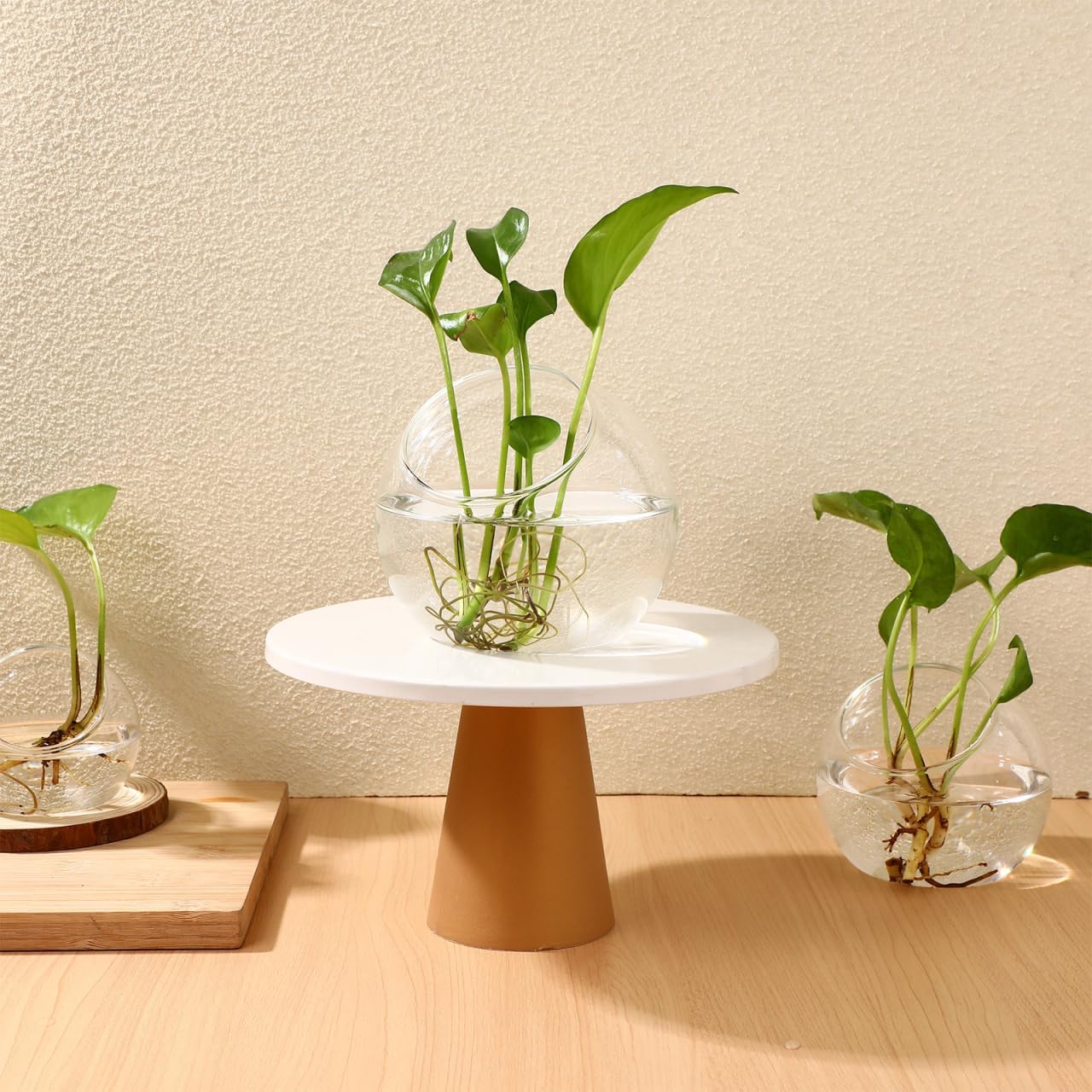 DECHOUS 3Pcs Glass Plants Terrarium Beveled Opening Round Terrarium Air Plant Bowls Planter for Succulents Miniature Gardens Ideal for Home Office Tabletop Centerpiece, 3 Sizes