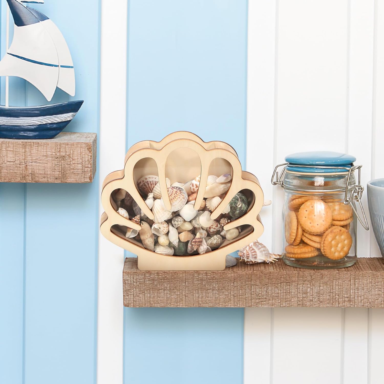 Xylolfsty Seashell Display Box Wooden Seashell Holder with Acrylic Panel Storage Box for Shells Sea Glass Small Starfish Shark Tooth Seashell Collection Box Home Decor Christmas Gift Birthday Present