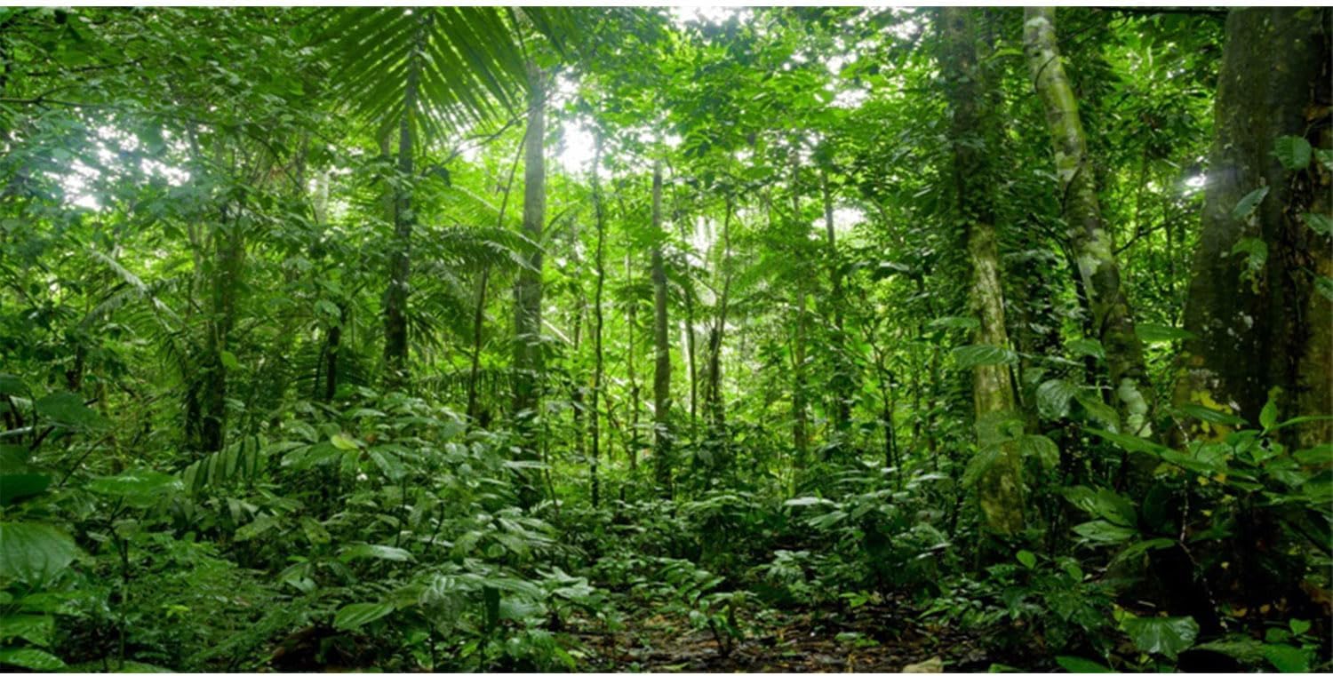 AWERT 30x18 inches Terrarium Background Tropical Aquarium Background Green Huge Tree Rainforest Reptile Habitat Background