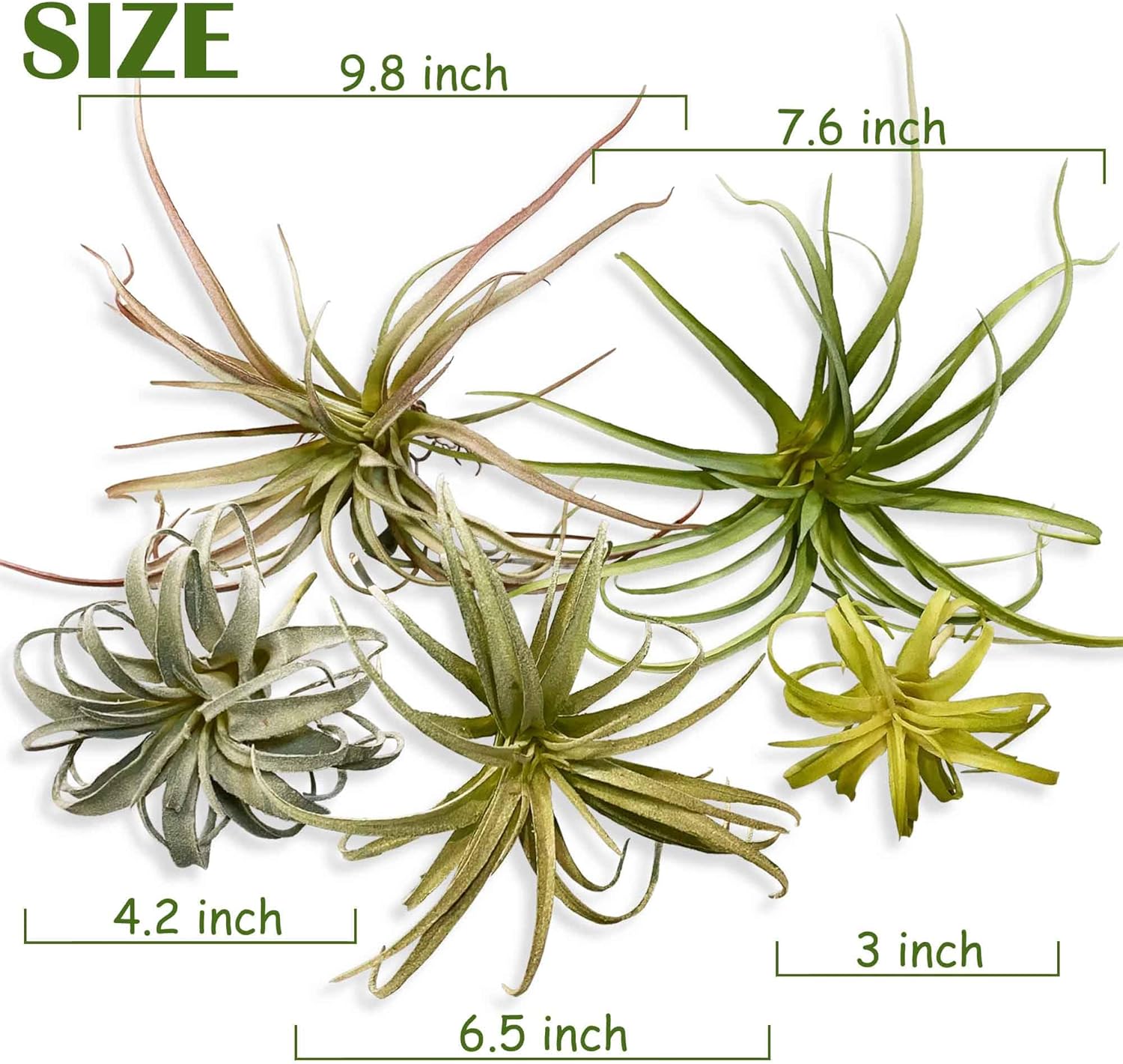 Casktcom® Large Green Real Touch Faux Air Plants, Lifelike Fake Tillandsia Pick, Artificial Air Plants for DIY Garden Wedding Home Decor — No Care Needed 5 pcs