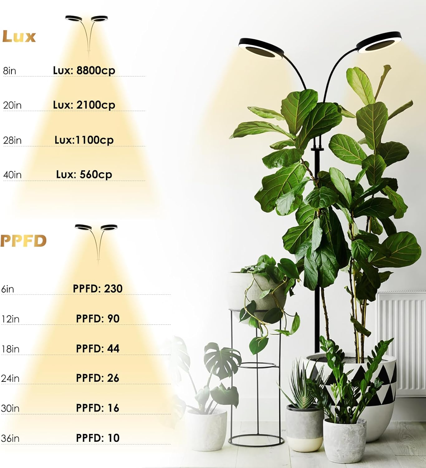 GLOWRIUM Grow Lights for Indoor Plants, Full Spectrum LED Grow Light Floor Lamp with Stand Adjustable Height and Angle, Black Plant Light with 3/9/12H Grow Light Timer (Black, 36W)