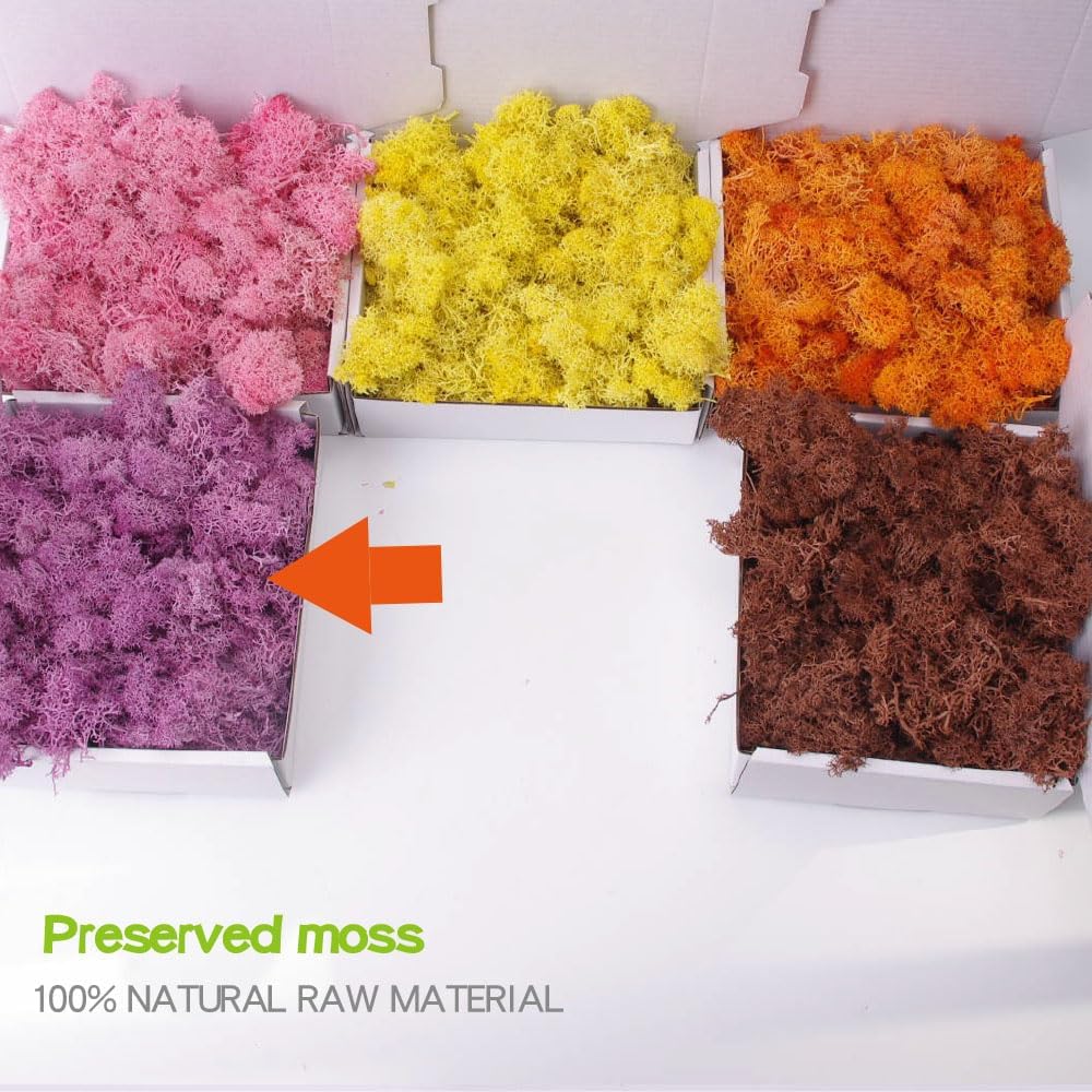 Preserved Moss-3.5 OZ Moss for Crafts Faux Moss Decor Natural Green Moss for Art Wall Florist Decor, Fairy Gardens, Wedding, Floral Project(Purple 3.5 OZ)