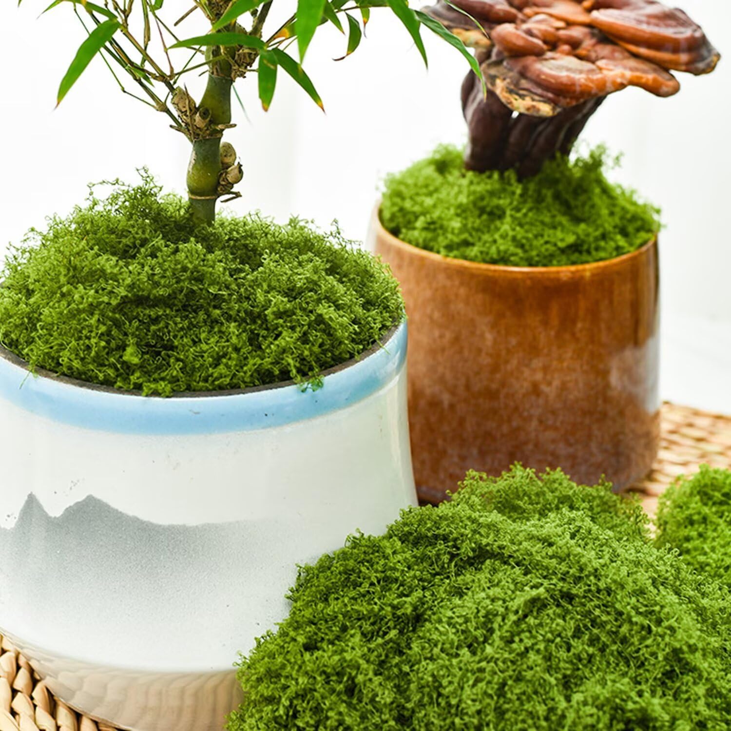 KEYUSHOP Fake Green Moss for Potted Plants 5.3 OZ Preserved Reindeer Moss Craft Decorative Artificial Moss for DIY Decorative Moss Table Centerpieces Decor Wall Art