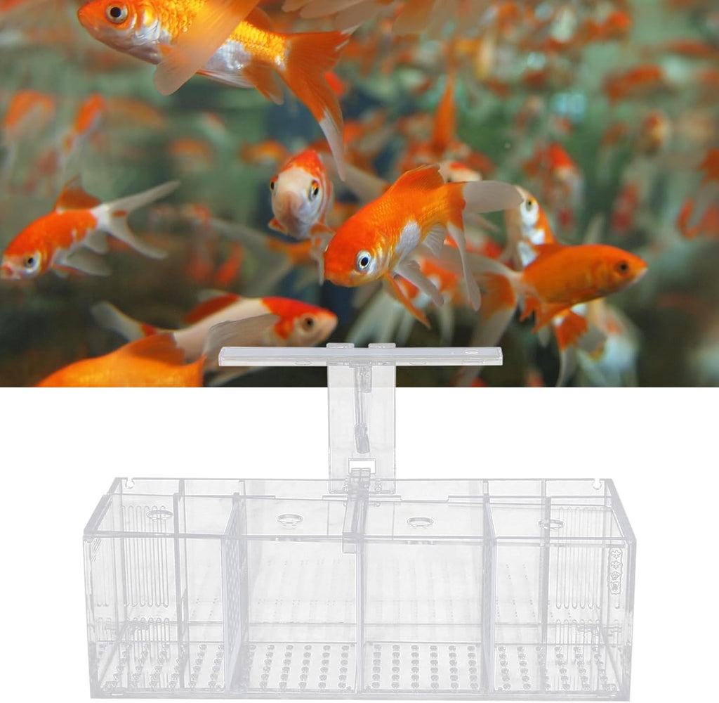 Acrylic Aquarium Transparent Fish Tank, Small Fish Tank with LED, Betta Fish Tank with 4 Grids, Dual Glass Desktop Mini DIY Aquarium, Multiple Betta Fish Tank for Table Furniture Decoration