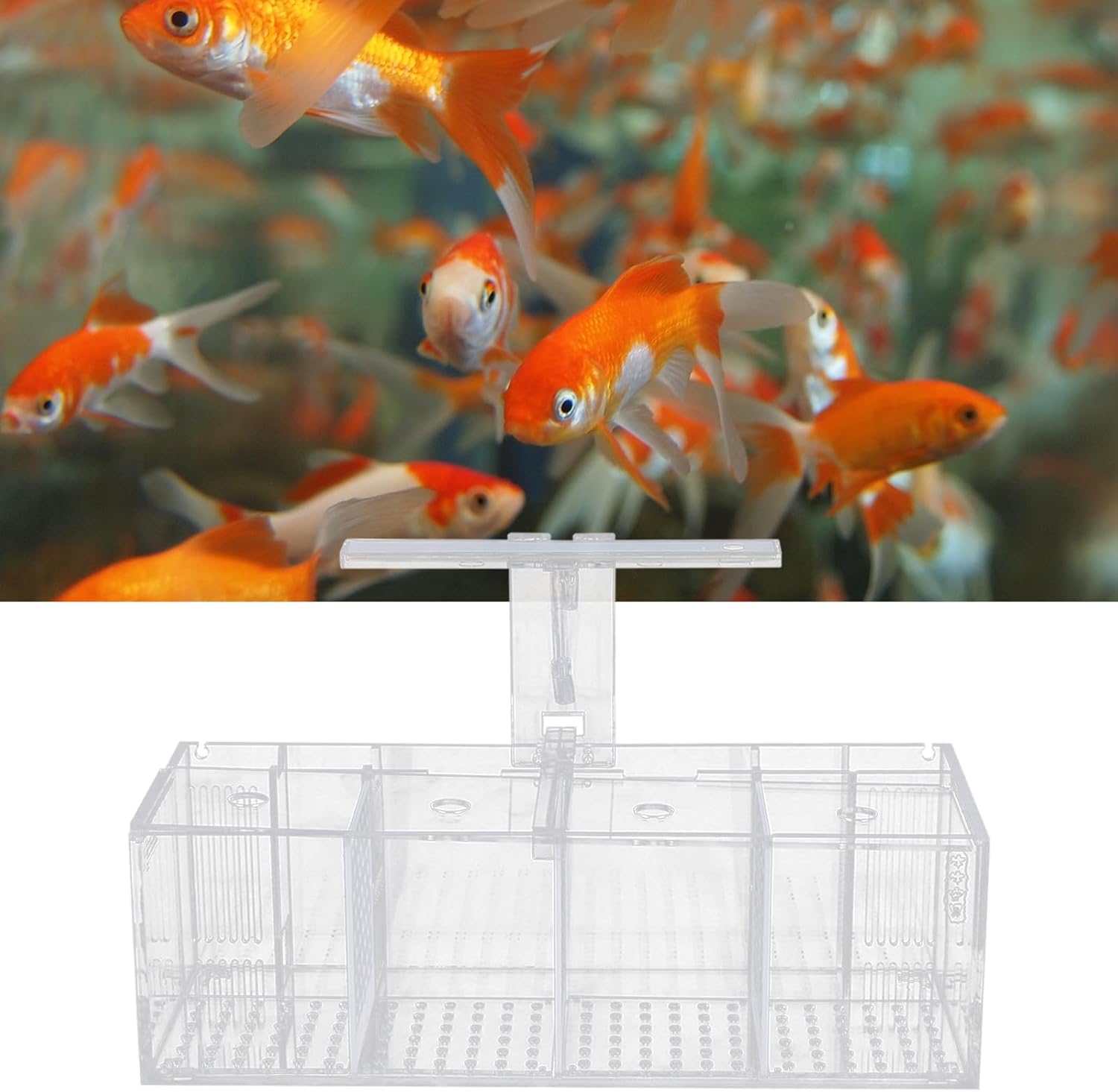 Acrylic Aquarium Transparent Fish Tank, Small Fish Tank with LED, Betta Fish Tank with 4 Grids, Dual Glass Desktop Mini DIY Aquarium, Multiple Betta Fish Tank for Table Furniture Decoration