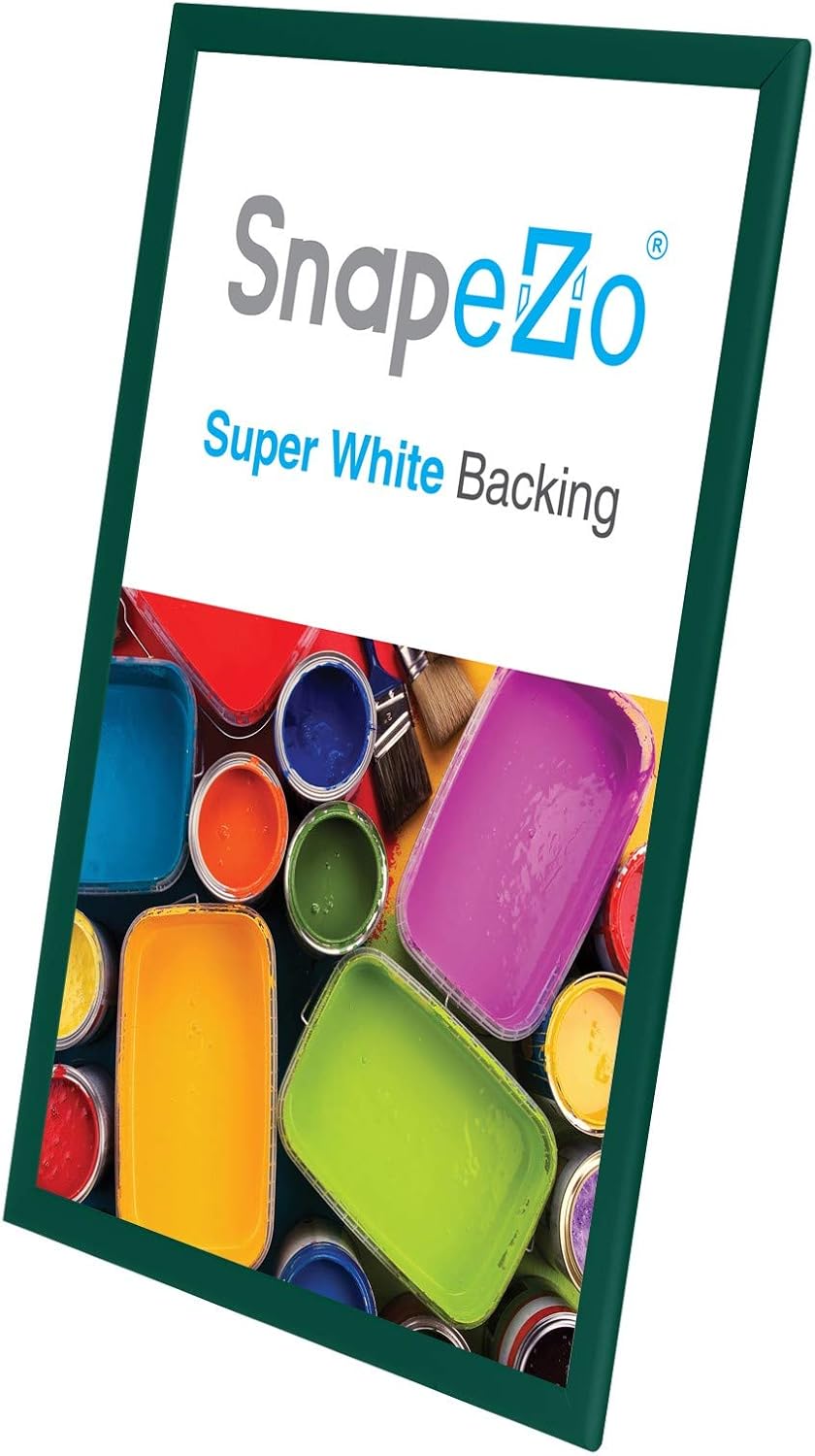 SnapeZo Poster Frame 20x30, Green, 1.25 Inch Aluminum Profile, Front-Loading Snap Frame, Wall Mounting, Professional Series