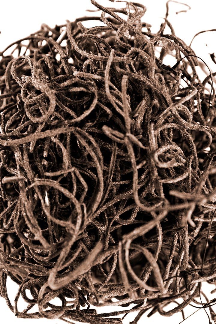 SuperMoss (26972) Spanish Moss Preserved, Coffee, 8oz (200 Cubic inch) (Pack of 10)