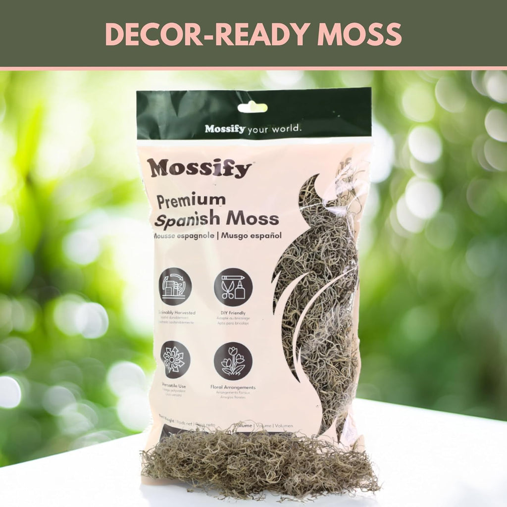 Mossify Premium Spanish Moss for Plants Indoor & Outdoor 150g, 5.3Oz - Natural Dried Preserved Moss for Crafts, Terrariums, Floral Arrangements, Garden & Home Décor – Humidity Retaining Spanish Moss