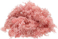 Uxcell 4oz Light Pink Preserved Reindeer Moss for Crafts, Decoration, Terrariums, Potted Plants, Centerpieces, Fairy Gardens