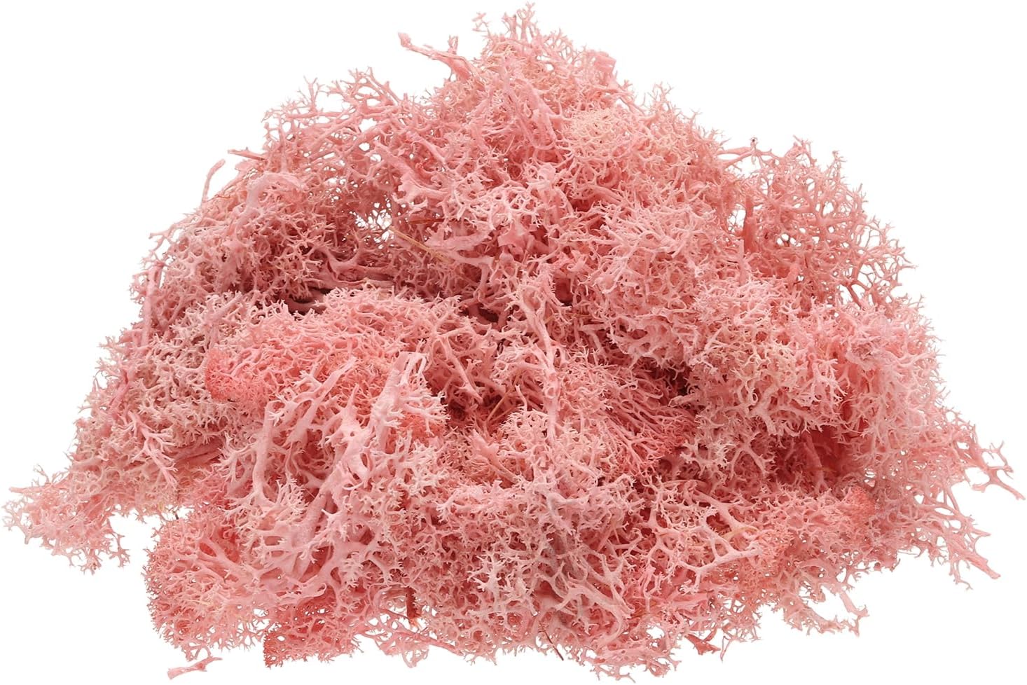 Uxcell 4oz Light Pink Preserved Reindeer Moss for Crafts, Decoration, Terrariums, Potted Plants, Centerpieces, Fairy Gardens
