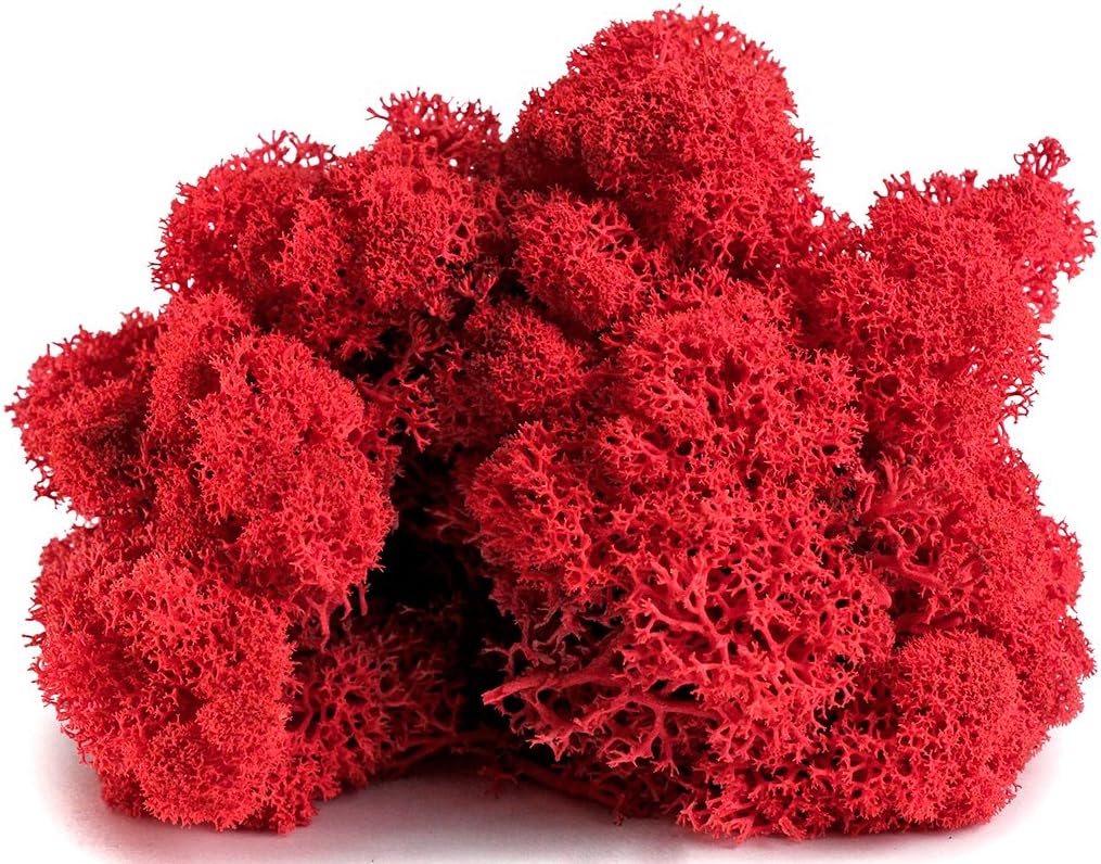 SuperMoss 7 59834 21785 5 Reindeer Moss Preserved, Appx. 3 lb Bulk Case, Red