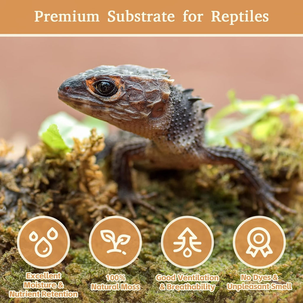 Riare 14OZ Premium Sphagnum Moss for Reptiles- 20QT Natural Reptile Moss Dried, Forest Live Moss for Terrarium, Frogs Snake Peat Moss Bedding for Leopard Gecko Turtle Anoles Salamanders Orchids