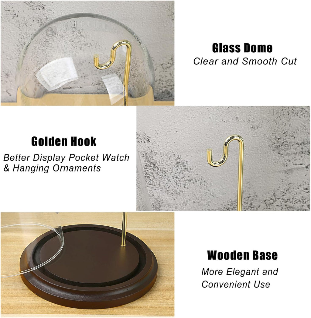 JUXYES Clear Watch Glass Display Dome Cloche With Hook, Dome Cloche with Hook with Wooden Base, Transparent Dome Cloche Bell Terrarium Jar Glass Cloche Bell Jar Display for Watch Ornaments