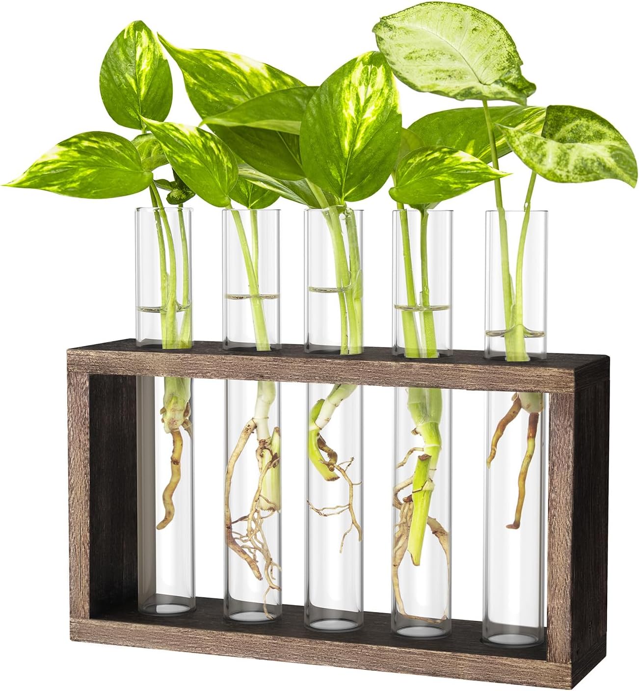 Propagation Station, Plants Terrarium, Plants Lover Gifts for Women,Plant Cutting Holder Home décor,Gifts for Women,House Warming New Home-5 Tubes-Brown