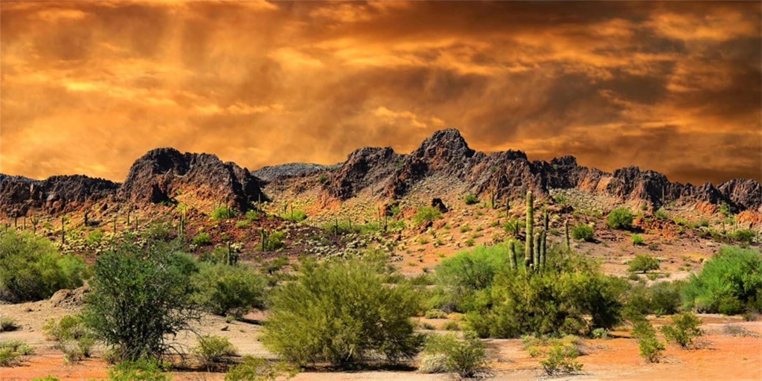 Laeacco Dusk Desolate Desert 10x5ft Vinyl Photography Background Sunset Glow Cactuses Weathered Mountains Scenic Backdrop Wedding Shoot Indoor Decors Wallpaper Studio Props