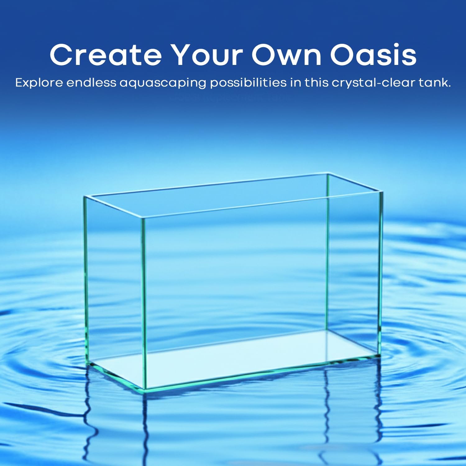 6 Gallon Glass Fish Tank 5 Gallon, Small Aquarium Fish Bowl Cube for Betta Goldfish Snails Shrimp Aquatic Planting, Easy to Maintain Ultra Clear Rimless Design Low Iron