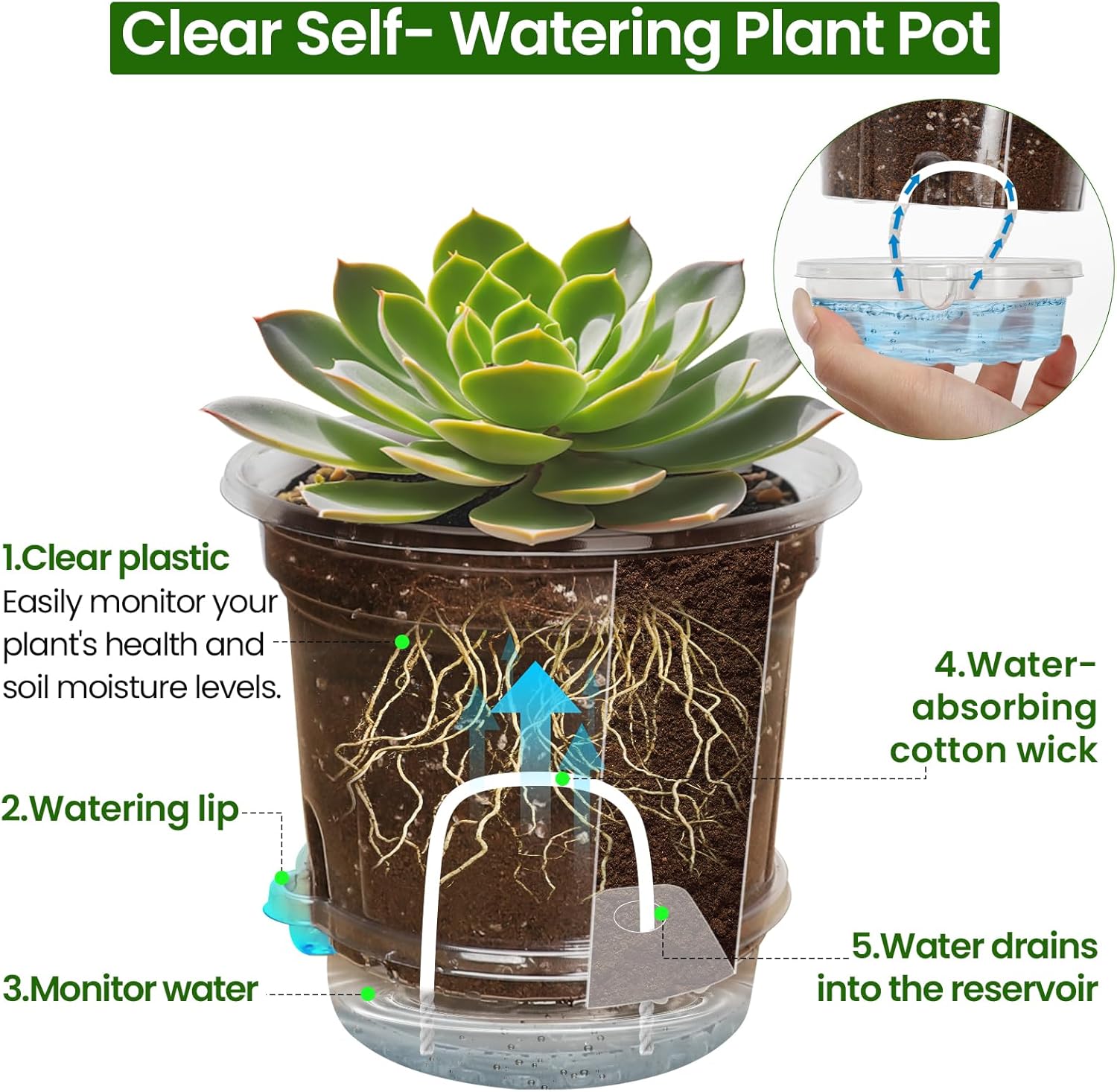 20 Pack 5 Inch Clear Self Watering Plant Pots with Bottom Water Tray & Watering Rope, Transparent Nursery Pots with Drainage for Seedlings, Herbs, and Houseplants