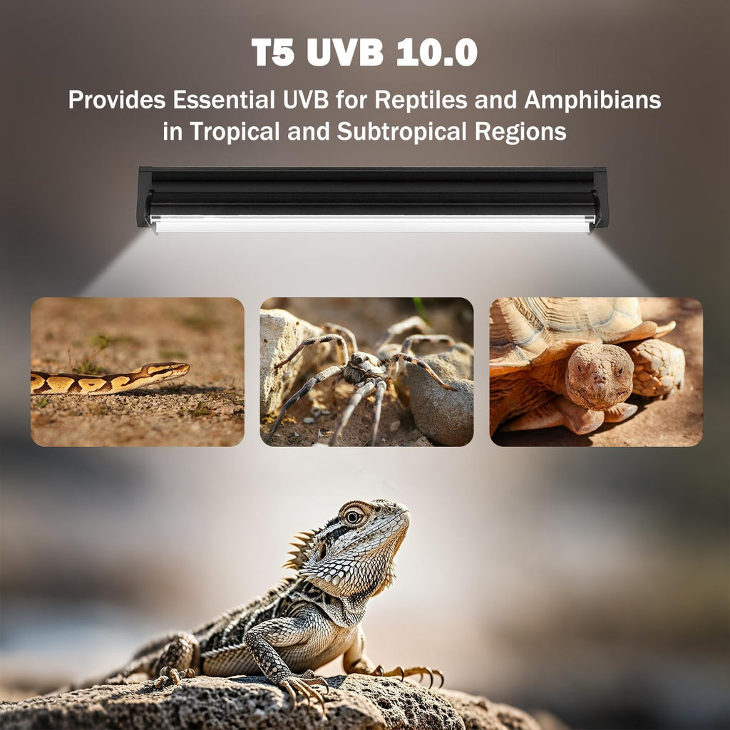 T5 10.0 UVB Reptile Light Fixture, T5 UVA UVB Light Tube Lamp Blub 24W 22" for Bearded Dragon, Tortoise,Desert Lizards,Leopard Gecko,Reptile & Amphibian Lamp