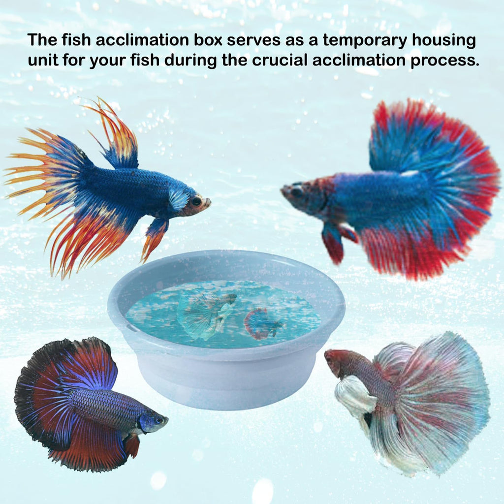 Foldable Fish Acclimation Box - Saltwater & Freshwater Aquarium Acclimator, Shrimp & Betta Fish Breeding Box