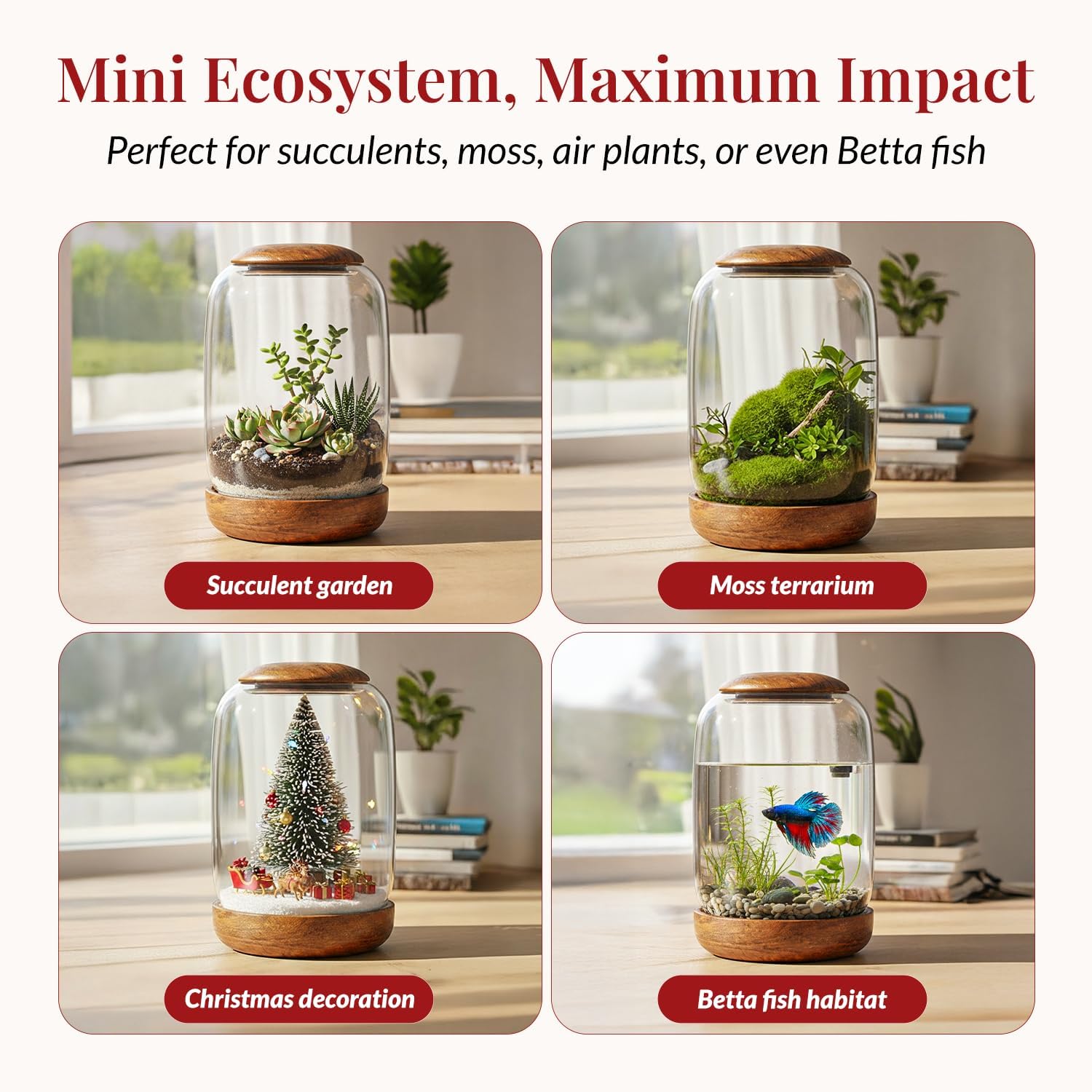 Exclusive Glass Terrarium, Beautifully Enhanced by a Natural Wood lid and Base. Excellent for Plants and Decoration. for Home and Office. Size: 6.3 Diameter by 8.7 Tall (Inches)