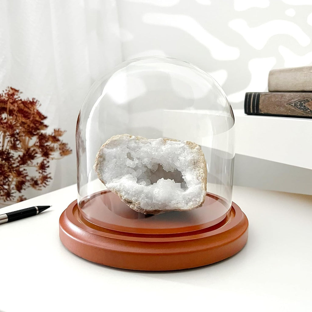 Plymor 5.5" x 5.5" Glass Display Dome Cloche (Walnut MDF Base)