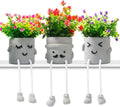 3Pack Fake Plants in Cute Pots, Indoor Faux Plants Decorations Lifelike with 60 Artificial Flowers for Office Bathroom Bedroom Living Room Kitchen Home Farmhouse Shelf Decor C