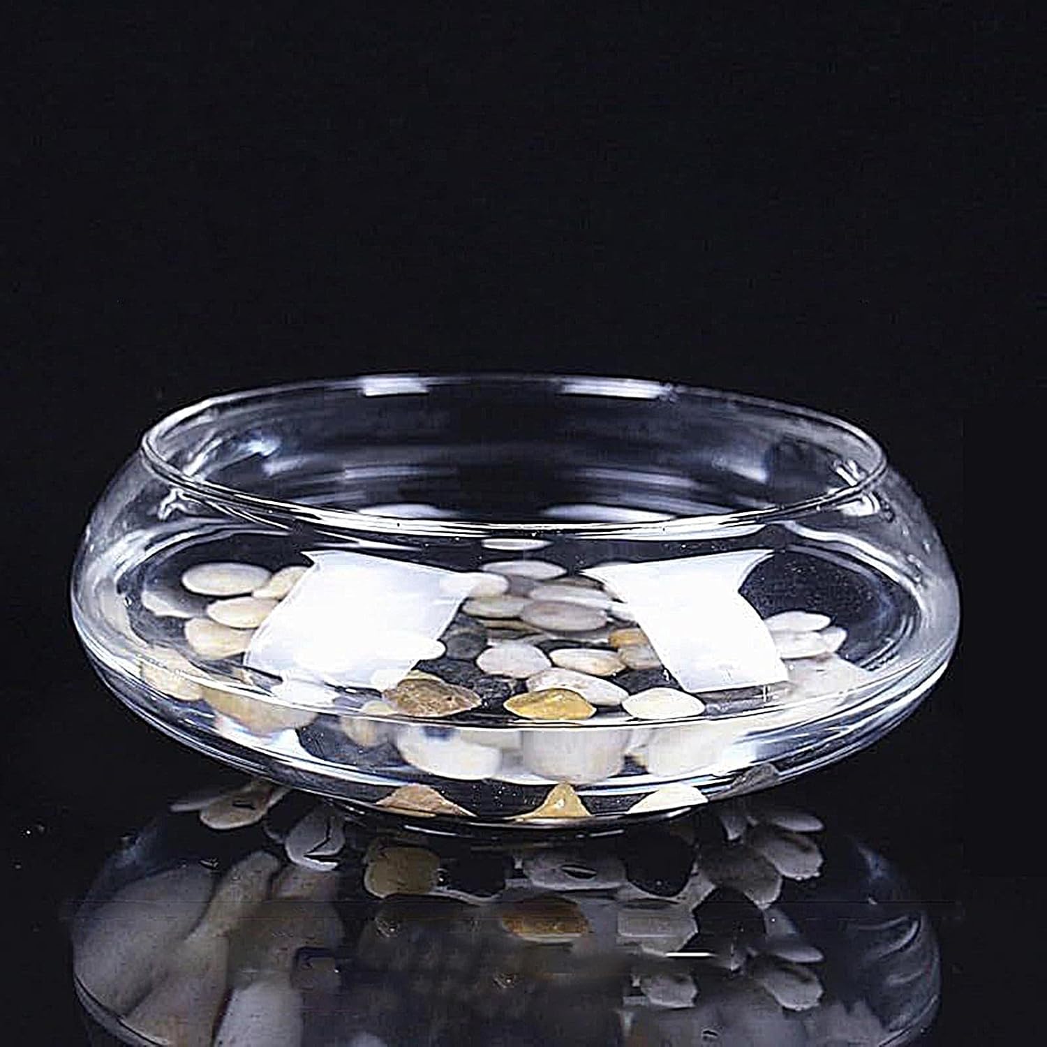 Glass Bowl – for Plants, Hydroponics Flower Planter, Shallow Wide Round Fish Bowl, Indoor Home Decoration, Transparent Curved Design, Multipurpose Plant Display | Great for Bonsai, Succulents