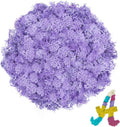 Preserved Reindeer Moss 3.5 OZ Light Purple Natural for Crafts, DIY Gift Christmas Decor, Wall Art, Potted Plants, Fake Moss for Easter Table Decor Wedding Decorative(3.5 OZ, Light Purple)