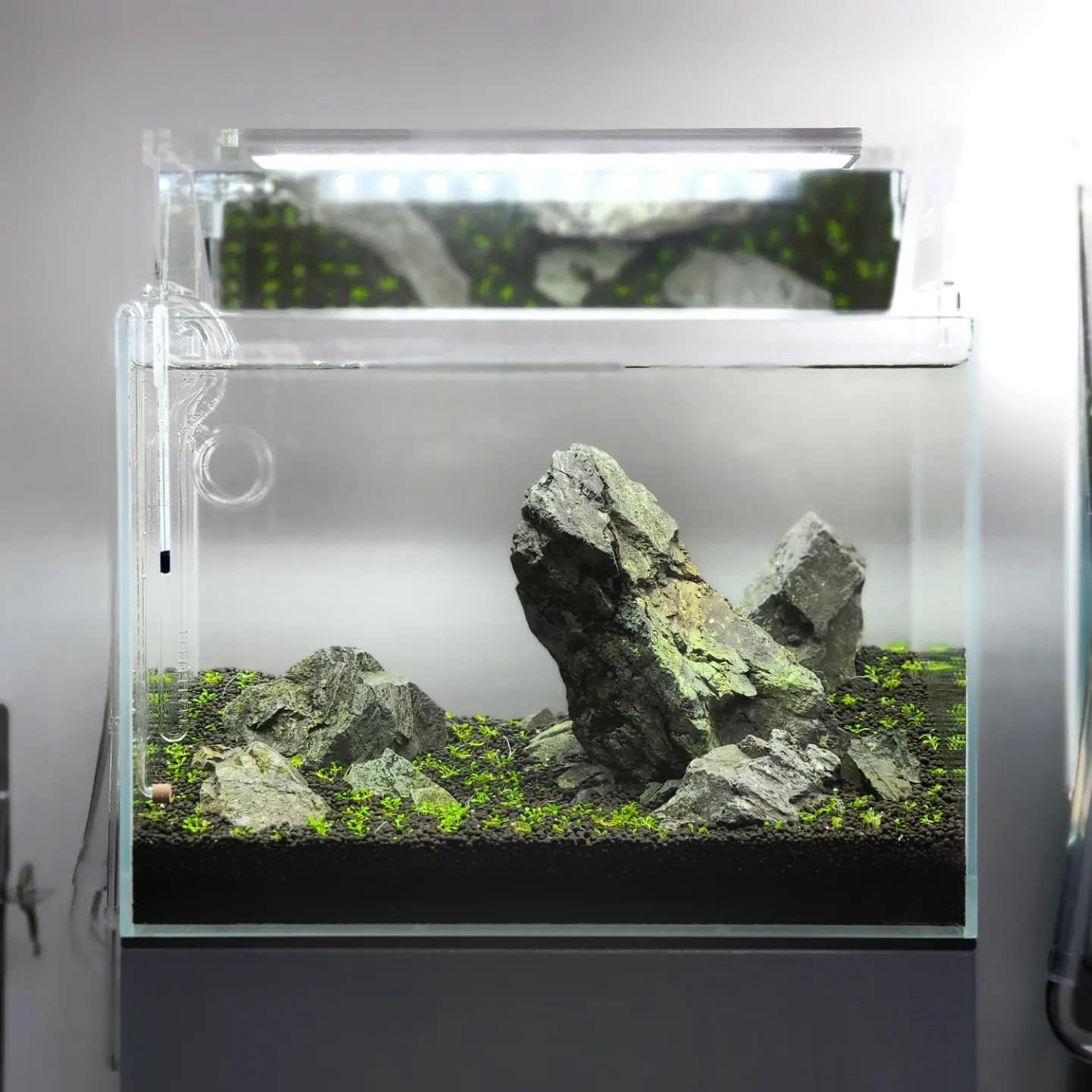 SubstrateSource Natural Stone for Aquarium, Terrarium, Paludarium, Reptile Enclosures - Set of Decorative Rocks for Landcapes, Aquascaping, Fish Tank Decor (Manten Stone, 20 Pounds, 2-8")