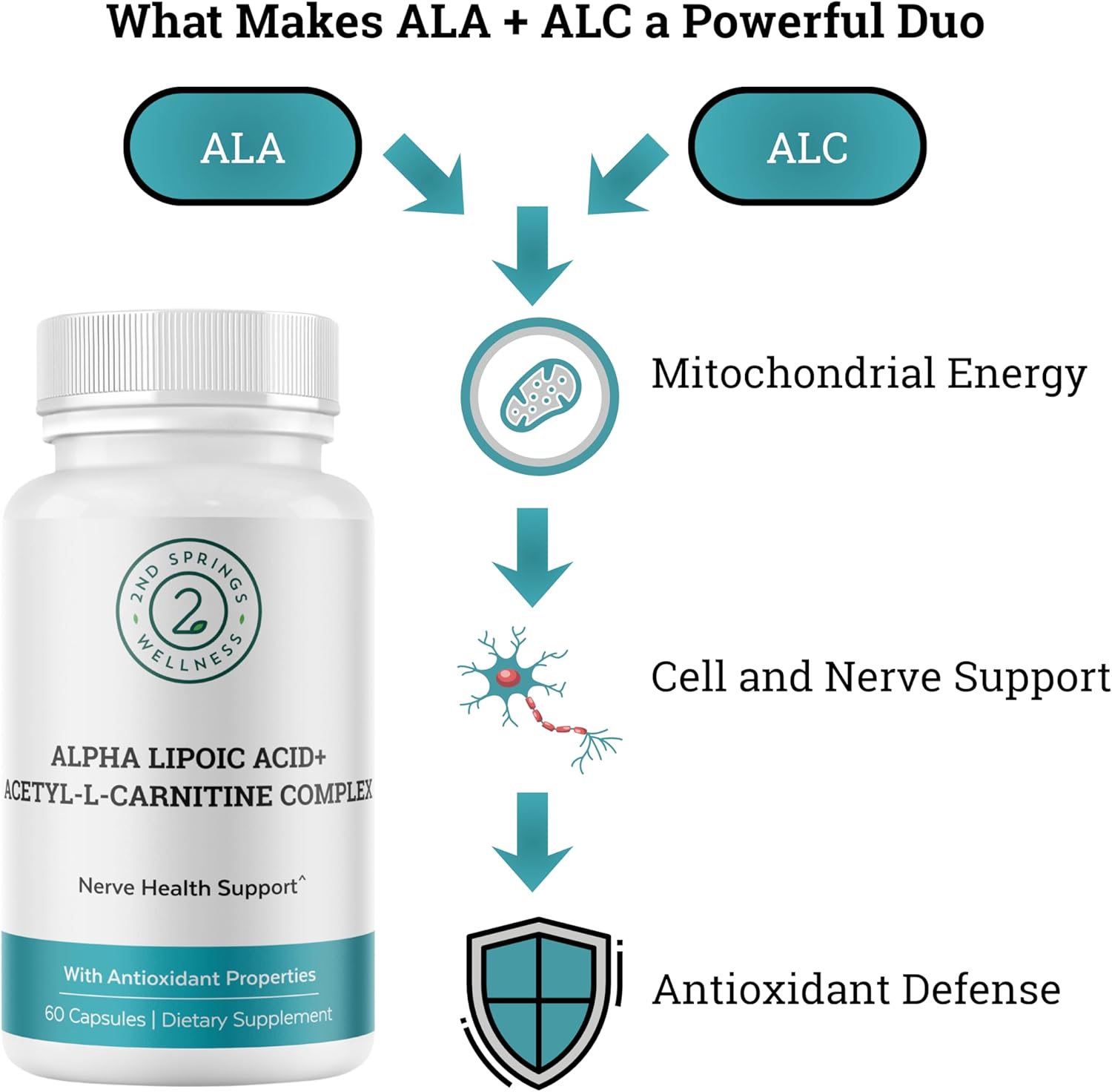 ALA + ALC Complex | Alpha Lipoic Acid (225 mg) + Acetyl-L-Carnitine (525 mg) - Antioxidant & Mitochondrial Support | Promotes Energy, Focus & Healthy Aging, 60 Capsules