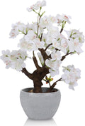 TOARTi Artificial White Cherry Blossom Potted Plant with Stone Pot, 12.6" Fake Flowers Potted Faux Plant Desk Decor, Realistic Decorative Plants Indoor Decor for for Home Bedroom Bathroom Office Desk