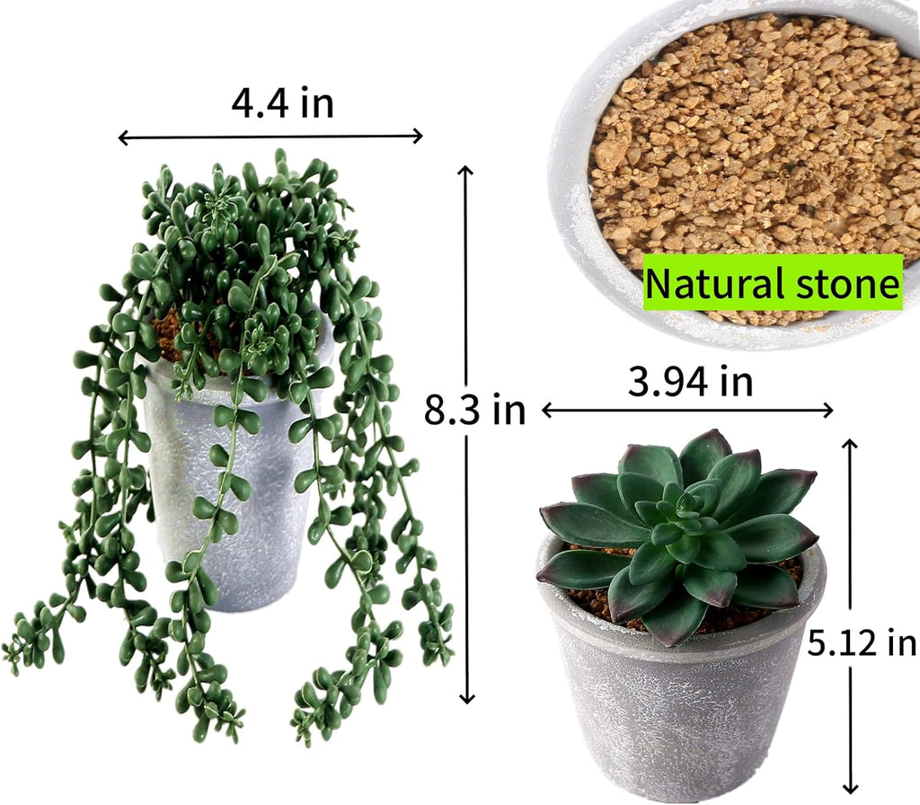 3 Pcs Artificial Succulents Potted Plants Assorted Fake Succulents Potted for Family Office Garden Interior Decor