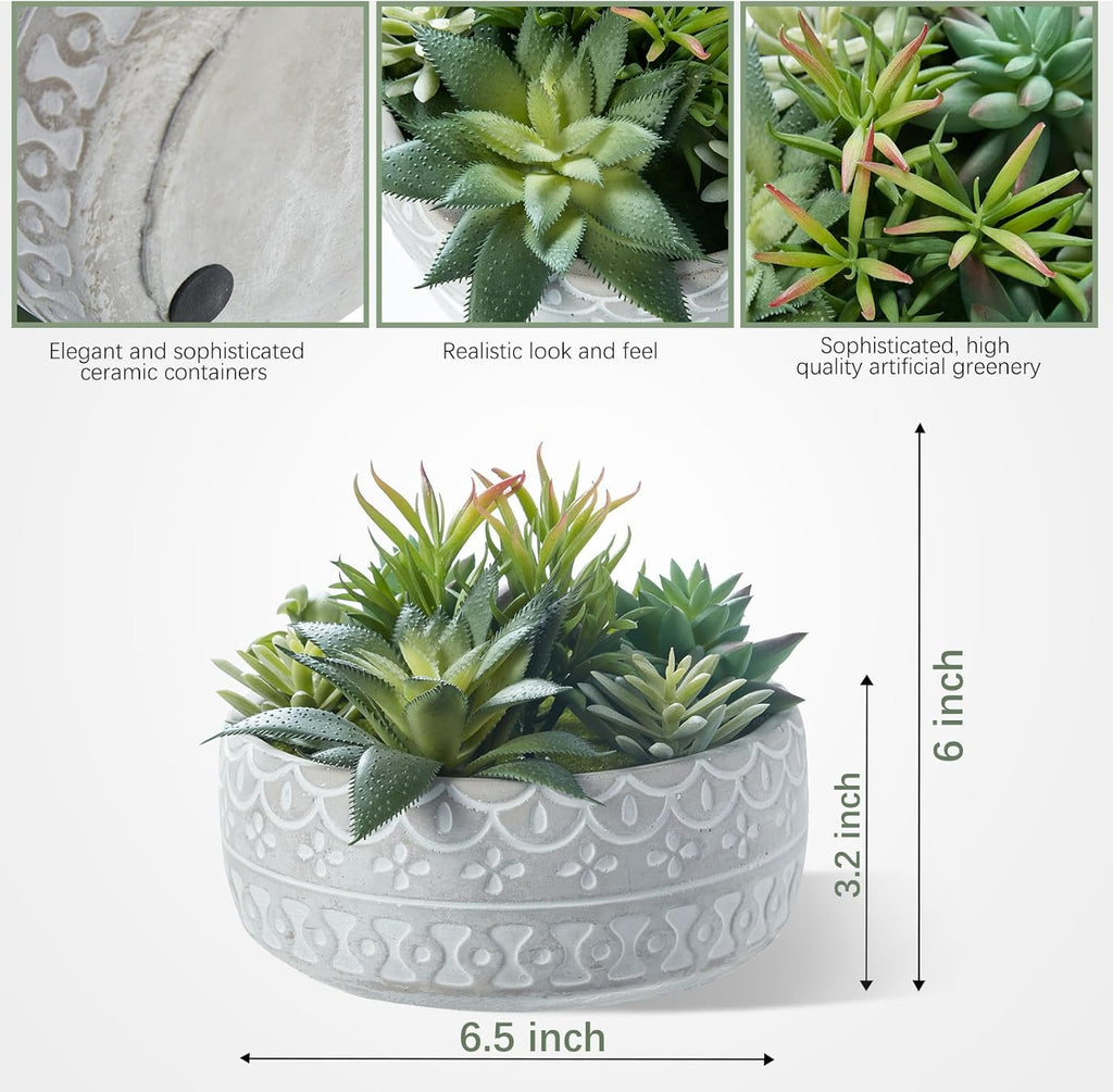 Artificial Succulent Plants Faux Potted Indoor with Ceramic Pot - Fake Plants for Bedroom, Bathroom, Home Office, Coffee Table Decor - Desk & Room Aesthetics