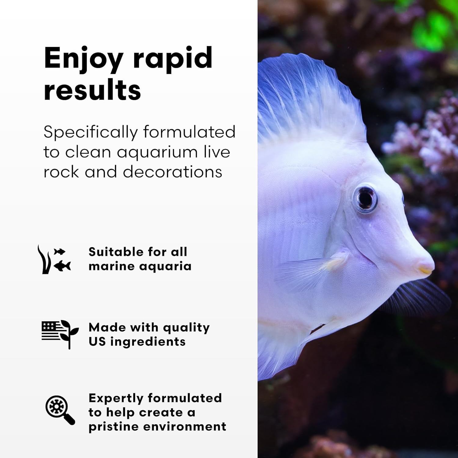 Brightwell Aquatics MicroBacter Clean - Microbial Culture & Enzyme Blend Fish Tank Cleaner - Cleans Live Rock Surfaces for Saltwater Fish Habitats - Aquarium Water Treatments, 33.8 fl oz