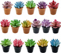 Cayway Dollhouse Plant Miniature 16 PCS Artificial Plant Tiny Bonsai Model Mini Flowerpot Fake Succulent Doll House for Garden Dollhouse Decorations