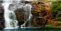 AWERT 30x12 inches Waterfall Terrarium Background Tropical Aquarium Background Mountain Lake Reptile Habitat Background